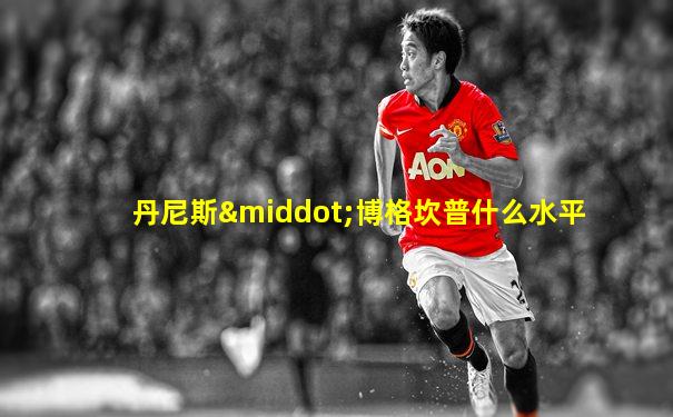 丹尼斯·博格坎普什么水平